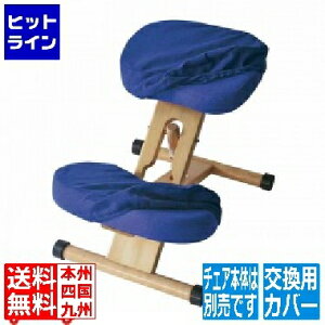 y}\z11/11 AM1:59܂ v|[V`FA փJo[ CV-8W u[ {쏊 | 