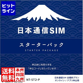 【04/27 09:59まで、お買い物マラソン】 日本通信SIM スターターパック NT-ST2-P