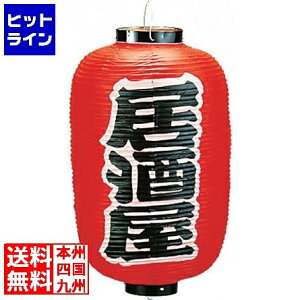 vGgy11/25 24Ԍ蓖Im21I1ő100%|CgobNz@ RX rj[ 12^  b256 YTY04006