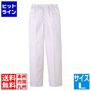 TybNXCXg jppc FH-1108(zCg)L S SPV2604