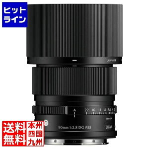 �V�O�} 90/2.8 DG (C) ���C�JL BK