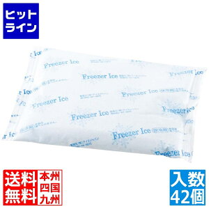 �A�C�X�W���p�� �ۗ�� �A�C�X�p�b�N FAR400(42��) 5221720