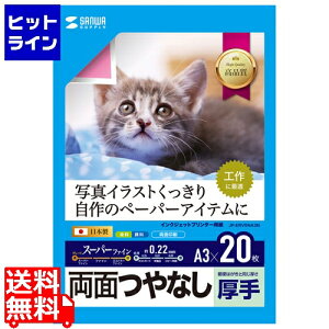 �v�G���g���y12/20 24���Ԍ��蓖�I�m��2����1�I1���ő�100%�|�C���g�o�b�N�z�@ �T�����T�v���C �C���N�W�F�b�g�p���ʈ�����E���� JP-ERV5NA3N