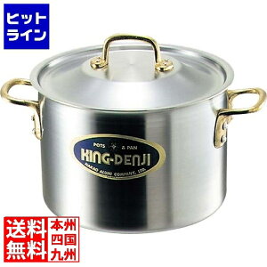 A~쏊 LOfW (ڐt) 27cm IHΉ(100V/200V) Ɩp