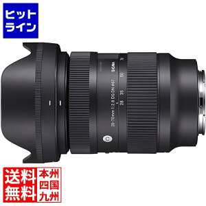 �V�O�} 28-70mm F2.8 DG DN �\�j�[E