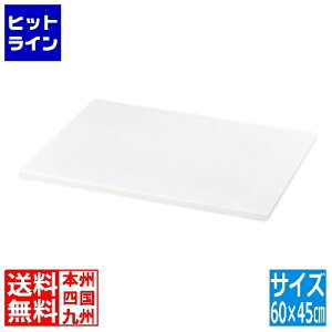 vGgy11/10蓖Im21I1ő100%|CgobNz@ Z׃eNmvX`bN PE ̂ 60cm 600×450 WNS0402