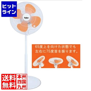 XCf ^@ SF-45VF-1VP2 6076010