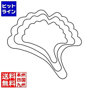 vGgy11/14 10`11/16蓖Im21I1ő100%|CgobNz@ J_ (KANKUMA) ؔ 3PC 