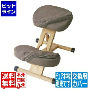 v|[V`FA փJo[ CV-8W uE {쏊 | 