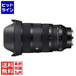 �V�O�} 28-45mm F1.8 DG DN Art �\�j�[E