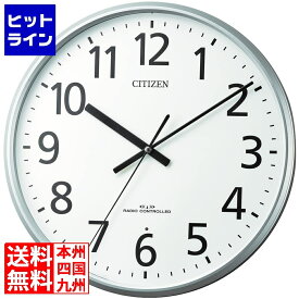 【5月1日ワンダフルデー】 リズム時計工業 掛時計 8MYA39-019