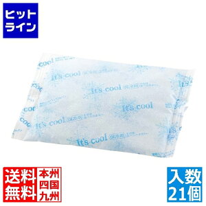 �A�C�X�W���p�� �ۗ�� �A�C�X�p�b�N FAR800(21��) 5221930