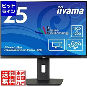 vGgy11/10蓖Im21I1ő100%|CgobNz@ }EXRs[^[ tfBXvC 25^/1920×1200/D-subAHDMIADisplayPort/ubN/Xs[J[F/IPSpl/~/