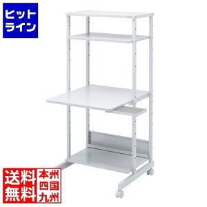 �y���������}���\���z1/29 AM1:59�܂� �T�����T�v���C �p�\�R�����b�N(W650×D700×H1400mm) RAC-EC12N2