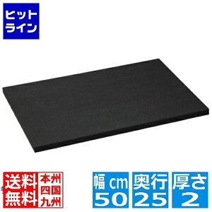 �y���������}���\���z4/10 AM1:59�܂� �p�[�J�[�A�T�q �N�b�L���J�b�g PRO �u���b�N 101 500×250×20mm CookinCut Pro black 008995001