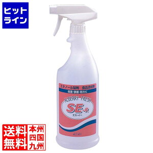 vGgy11/25 24Ԍ蓖Im21I1ő100%|CgobNz@ A^ Ax[tbV SE-R Kt 1L