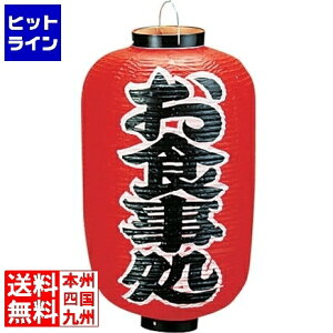 vGgy12/5 24Ԍ蓖Im21I1ő100%|CgobNz@ RX rj[ 12^ H b259 YTY04010