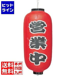 vGgy11/25 24Ԍ蓖Im21I1ő100%|CgobNz@ RX rj[ 9^ cƒb239 YTY03029