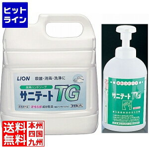 vGgy11/25 24Ԍ蓖Im21I1ő100%|CgobNz@ eCPCWC CIpnh\[v Tje[gTG 4L 700mlA|vt JHV3001