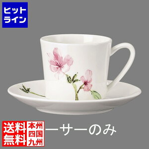 ���[�[���^�[�� RT �W�F�C�h�E�}�O�m���A 34636�R�[�q�[�\�[�T�[15cm RLCT001