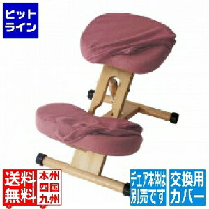 v|[V`FA փJo[ CV-8W [Y {쏊 | 