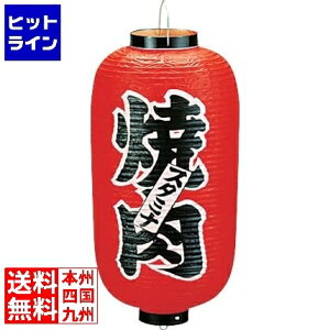 vGgy12/5 24Ԍ蓖Im21I1ő100%|CgobNz@ RX rj[ 9^ ēb210 YTY03025