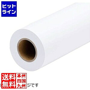 �v�G���g���y2/15���蓖�I�m��2����1�I1���ő�100%�|�C���g�o�b�N�z�@ �G�v�\�� ���ʎ�(���[������)(��914mm��/50m/2�{) EPPP6436