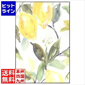 �v�G���g���y12/20 24���Ԍ��蓖�I�m��2����1�I1���ő�100%�|�C���g�o�b�N�z�@ ���J �A�[�g�p�l�� ART-199M ART-199M