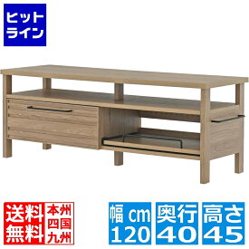 要エントリ【11/10限定当選確率2分の1！1等最大100%ポイントバック】　 LAFIKA(ラフィカ)テレビボード(120cm幅) ローボード テレビ台 収納 おしゃれ 北歐 リビング 幅120cm LF45-120L-GN