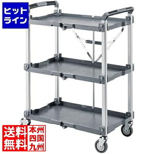 TTvC ܂肽݃J[g3i(W800) CART-FA1GY