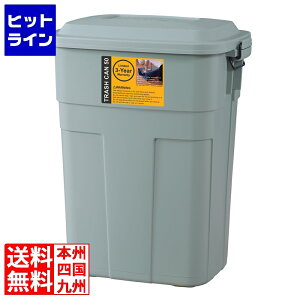 �y���������}���\���z4/10 AM1:59�܂� ���J �g���b�V���J��50L LFS-936GR