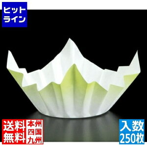 y}\z10/27 AM9:59܂ I ~jFa(250) ΐF SKA151 QNB5301