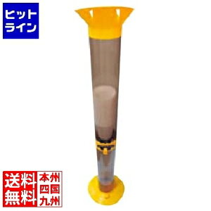 JbvRN^[(RbvpS~) 5613400