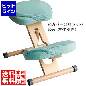 vGgy11/10蓖Im21I1ő100%|CgobNz@ {쏊 ~^P v|[V`FApփJo[(2Zbg CV-N8W LGR CV-N8W