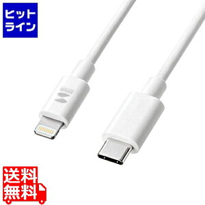 vGgy11/10蓖Im21I1ő100%|CgobNz@ TTvC CgjO - TypeCP[u 1m KB-IPLC10W