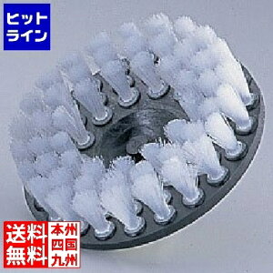 y}\z11/11 AM1:59܂ gD[Z hp[^[uV 1372(\tg^Cv) JBLC5