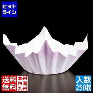 �v�G���g���y12/15 24���Ԍ��蓖�I�m��2����1�I1���ő�100%�|�C���g�o�b�N�z�@ ���I�� �~�j�F�a����(250����) ���F SKA152 QNB5401