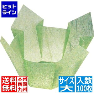 }R[  OP (100) 66403 ᑐ_ Ɩp QTV3905