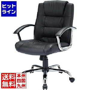 �T�����T�v���C ���U�[�`�F�A SNC-L10K