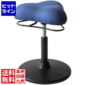 vGgy11/10蓖Im21I1ő100%|CgobNz@ v|[VXc[ ~ ] CH-800L u[ {쏊 | w Lw p 