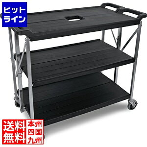 vGgy11/18蓖Im21I1ő100%|CgobNz@ J[C z[hJ[gSBC2031 ubN MKC1105