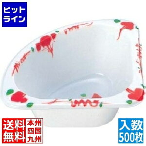 vGgy11/25 24Ԍ蓖Im21I1ő100%|CgobNz@ Ad~Y vJbvԊG OpR[i[TZ-2(500) XAZ1601