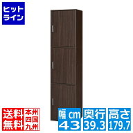 白井産業 収納棚 ラック 整理棚 3段の扉付き収納 一人暮らしの部屋や狭いスペースにぴったりサイズ ダー…