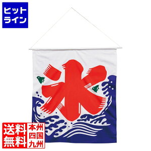 テイケイジイ KY氷旗 大