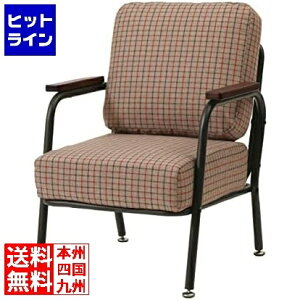 �v�G���g���y12/20 24���Ԍ��蓖�I�m��2����1�I1���ő�100%�|�C���g�o�b�N�z�@ ���J �\�t�@ 1P RKC-101GY RKC-101GY