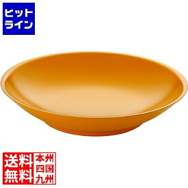 要エントリ【5/15限定当選確率2分の1！1等最大100%ポイントバック】　 カンダ (KANKUMA) メタル丼サーラレギュラー カンダ 皿 お皿 ステンレス 燕三条