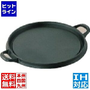 riSH IK S DݏēS ی^ 28cm IHΉ(100V/200V) Ɩp QOK05