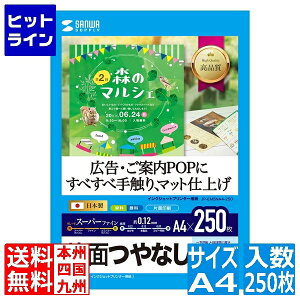 TTvC CNWFbgpX[p[t@CpA4TCY250 JP-EM5NA4-250