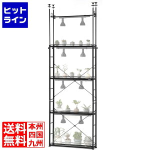 �y���������}���\���z4/10 AM1:59�܂� �r�U�[���v�����c���b�N �X���� �A�� �I �ϗt�A�� �A���I �A�����b�N ���C�g ���^�����b�N �X�`�[�����b�N �r�r���{
