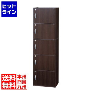 vGgy11/25 24Ԍ蓖Im21I1ő100%|CgobNz@ NVI t5i{bNX R [ I bJ[ rO Q h 42cm 145cm NVI